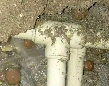 霞山测漏水多少钱