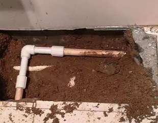 霞山测漏水哪家好