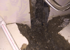 霞山卫生间测漏水哪家好