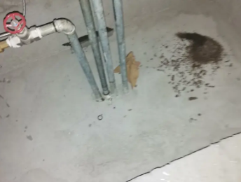 霞山卫生间测漏水价格明细