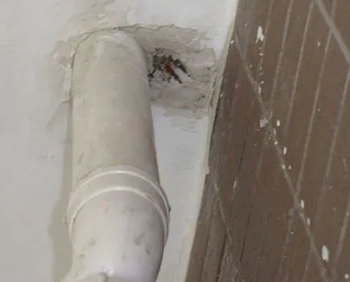 霞山漏水检测哪家好